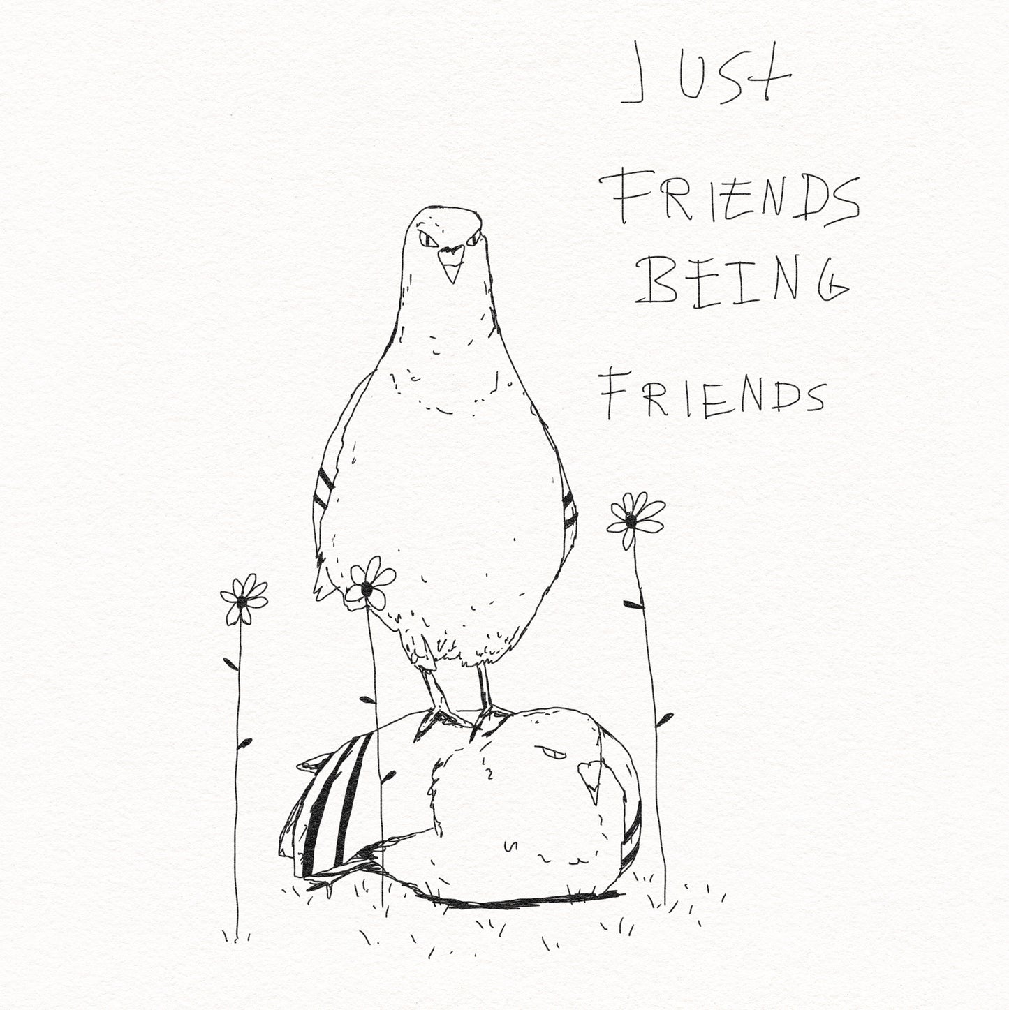 Friends being friends