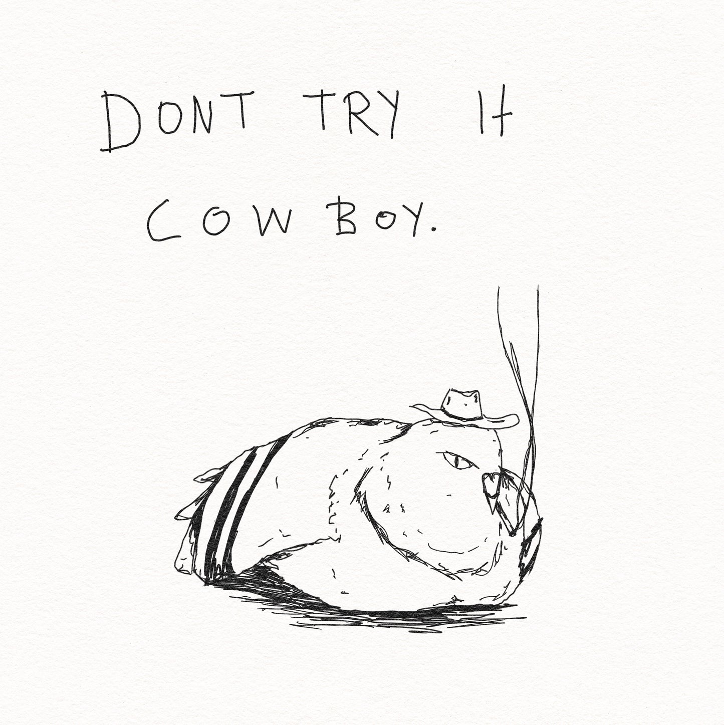 Don't try it cowboy