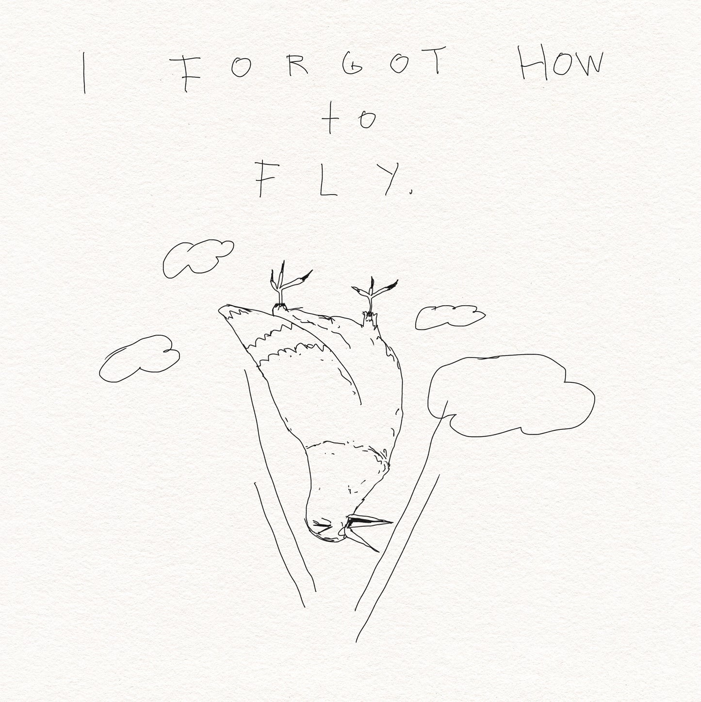I forgot how to fly