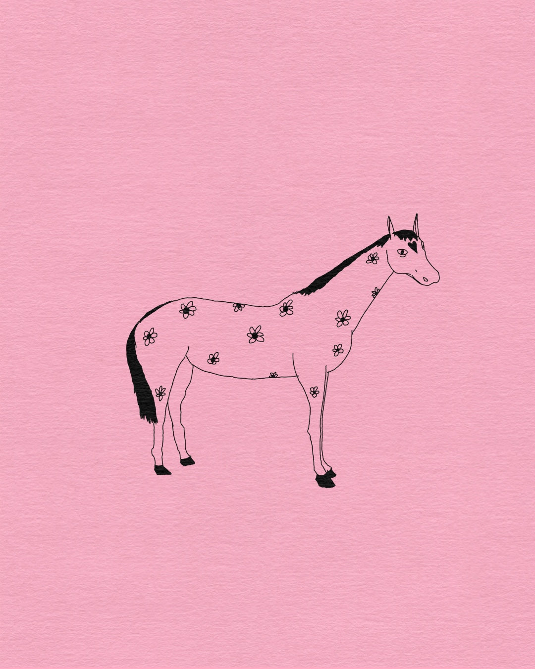 Cute stallion