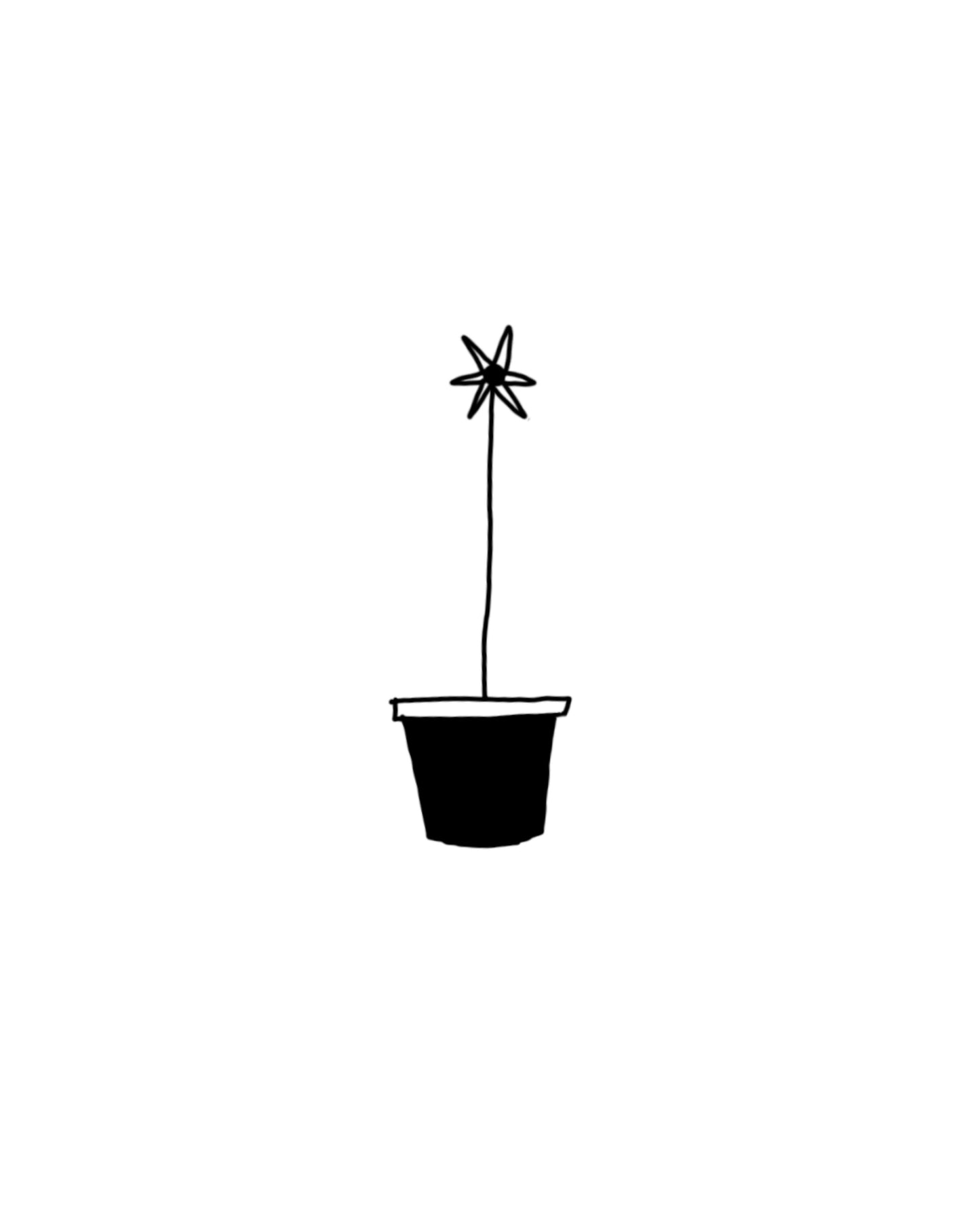 Plant pot plant