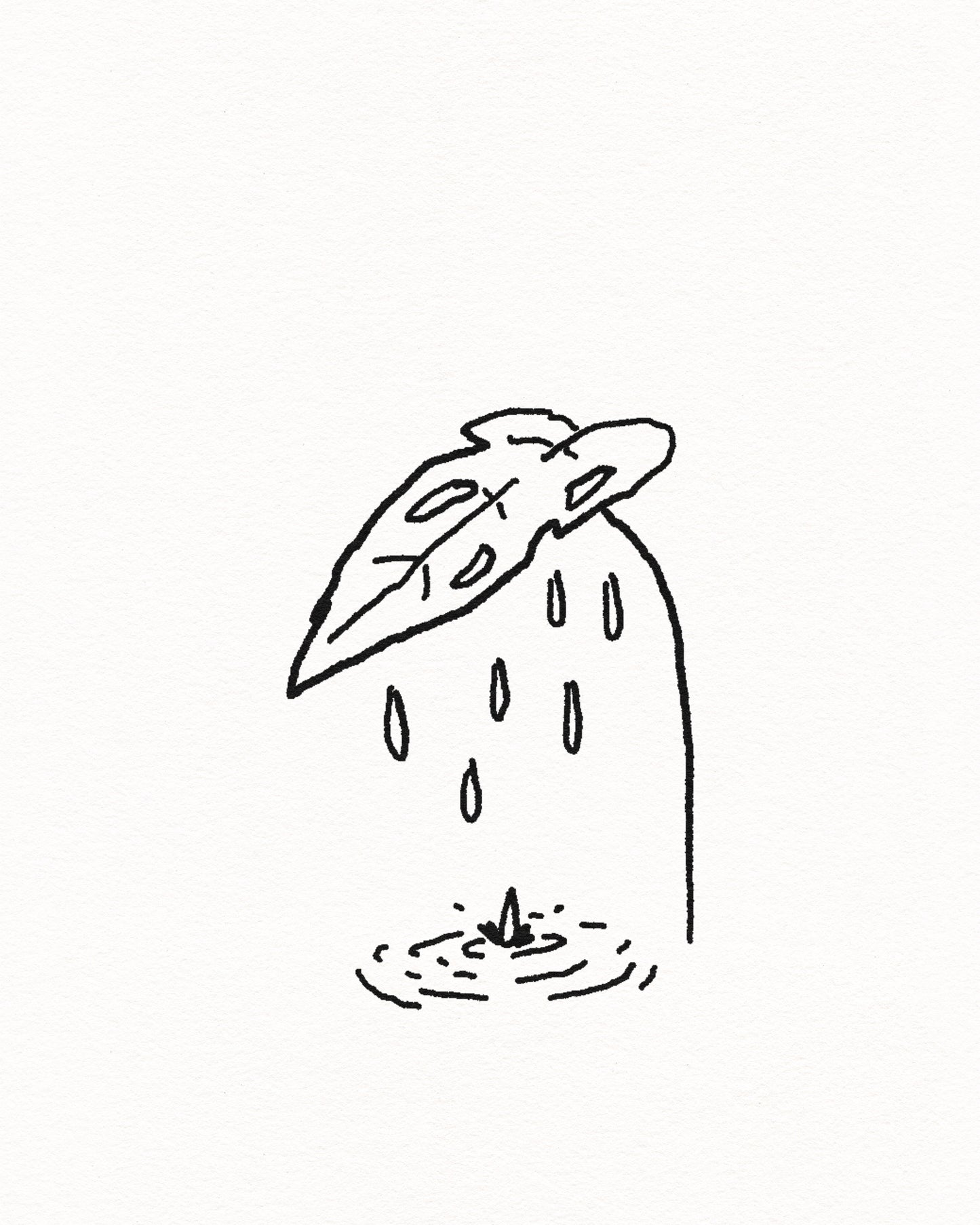 Monstera rain
