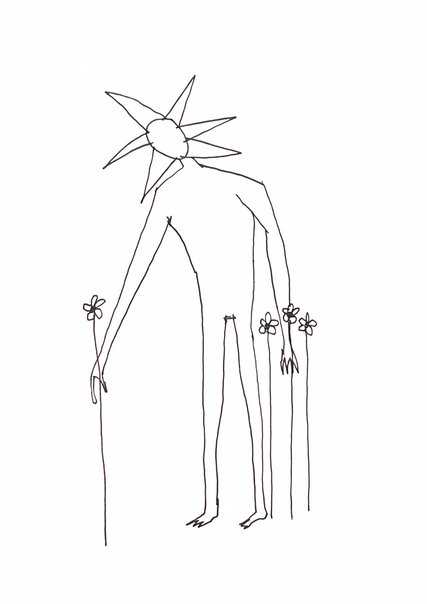 Flower boy is mellow in the meadow