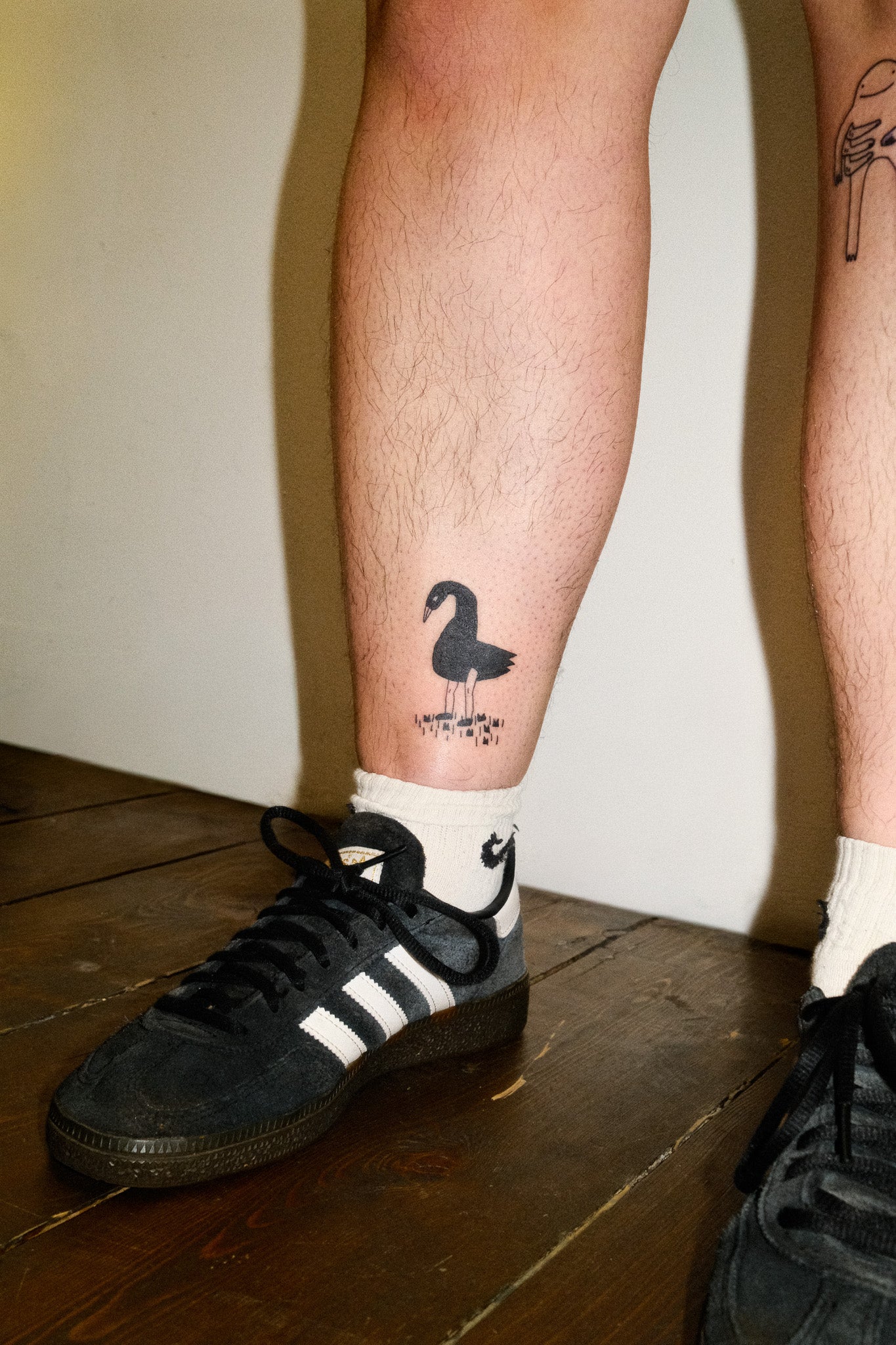 I've been listening to birds by turnstile on repeat. I can't stop. At first I hated the band, now I love them. Please help