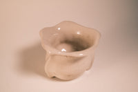Barbed vase photo 9