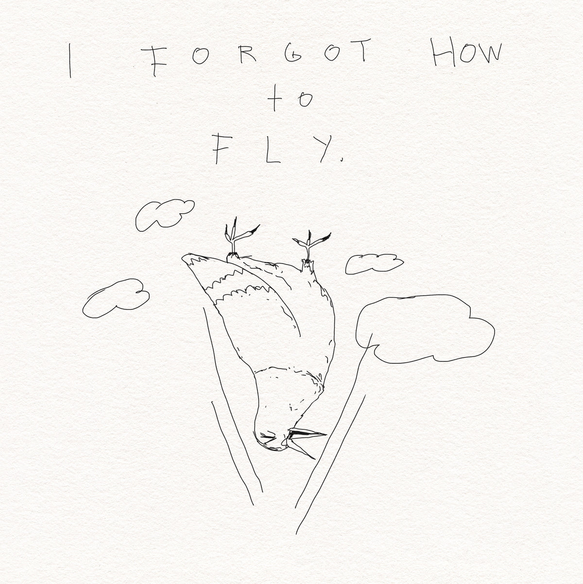 I forgot how to fly
