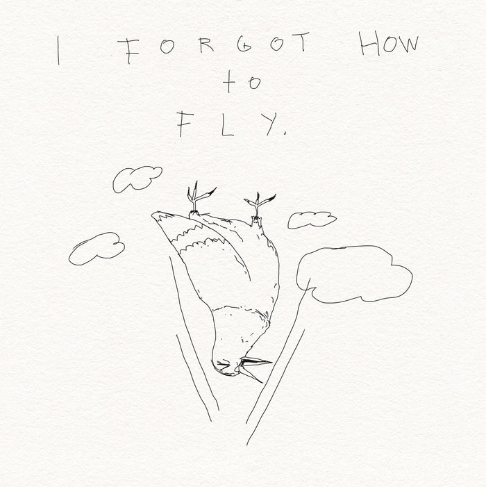 I forgot how to fly
