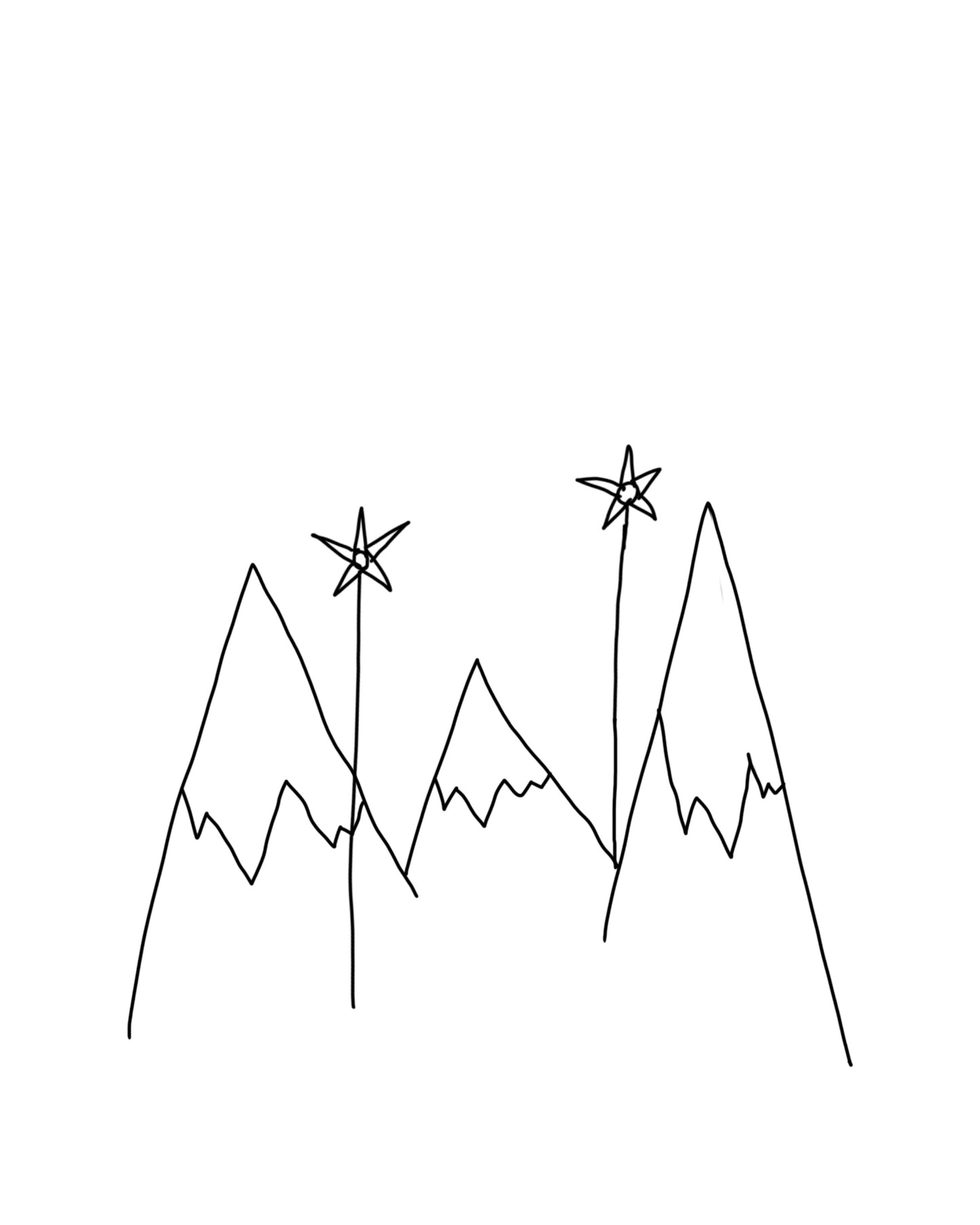 Mountain flowers