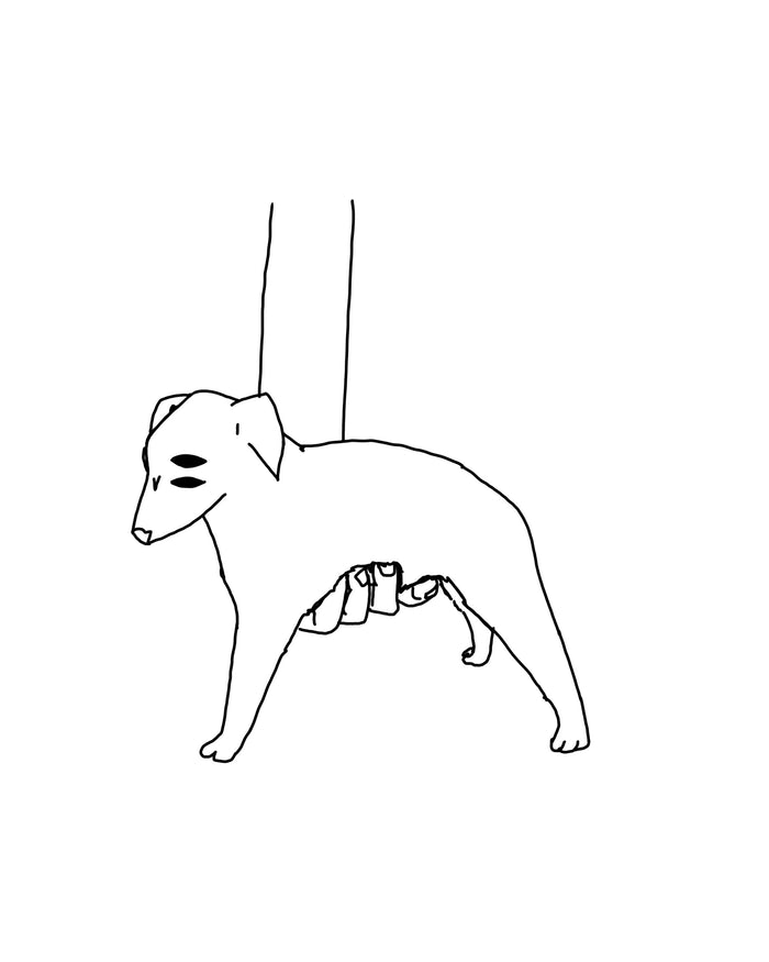 A humans best friend, hound.