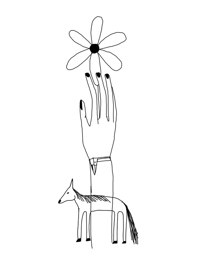 A hand, A flower, and a cowboys horse