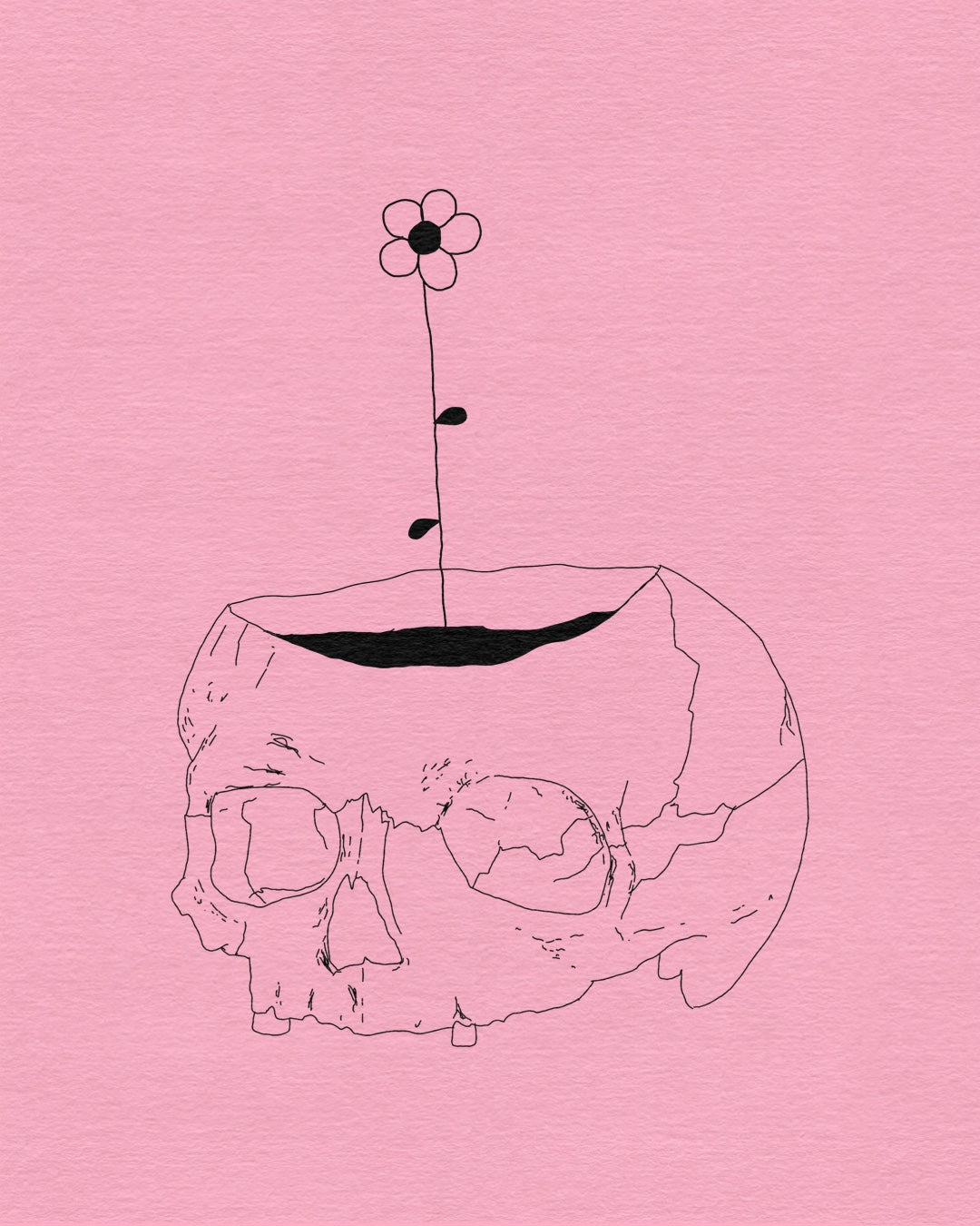 Flower skull prt.2
