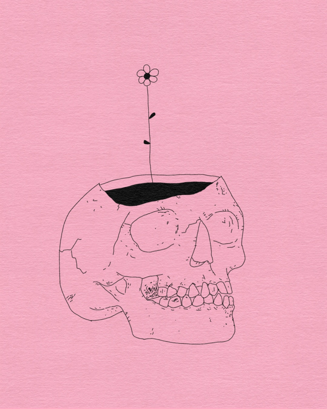 Flower skull prt.3