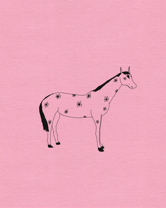 Cute stallion