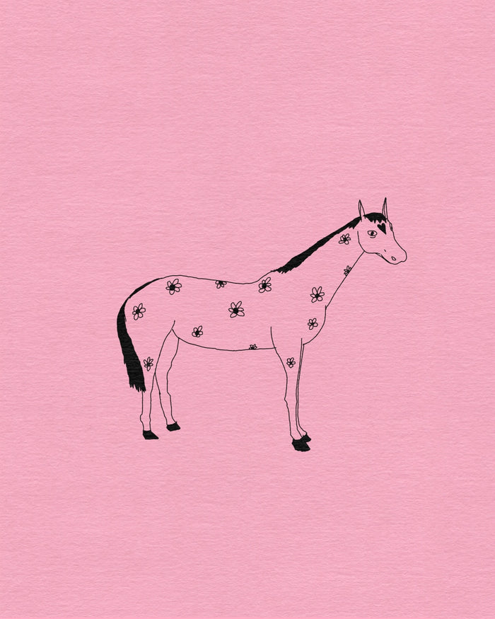 Cute stallion
