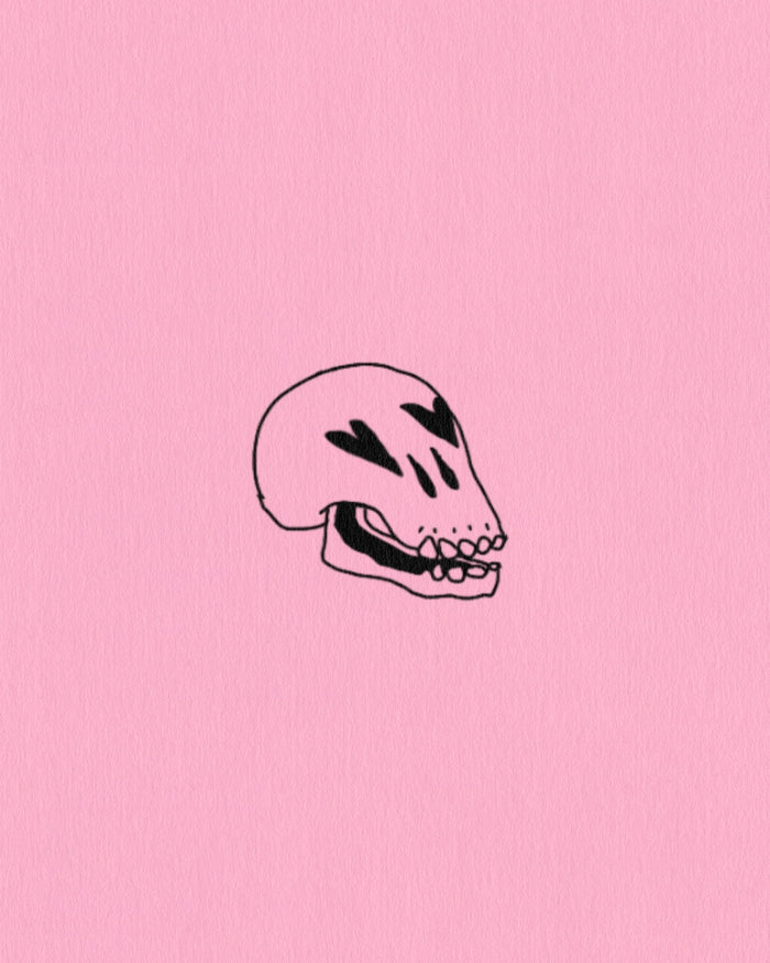 skull baby