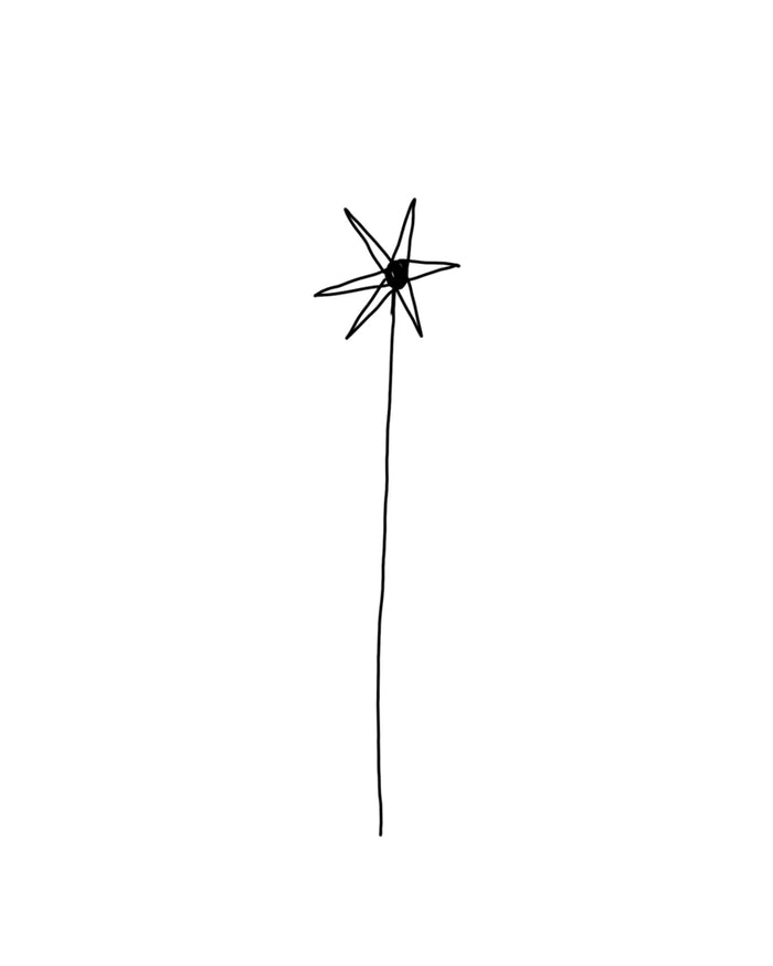 Generic spikes flower