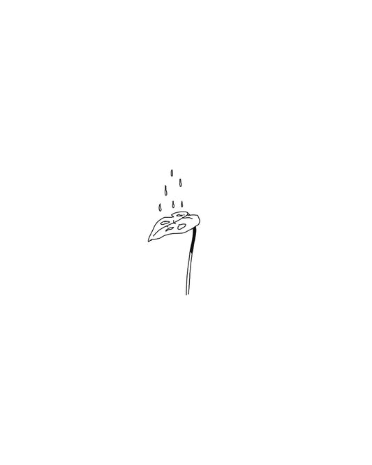 I'll keep you dry.