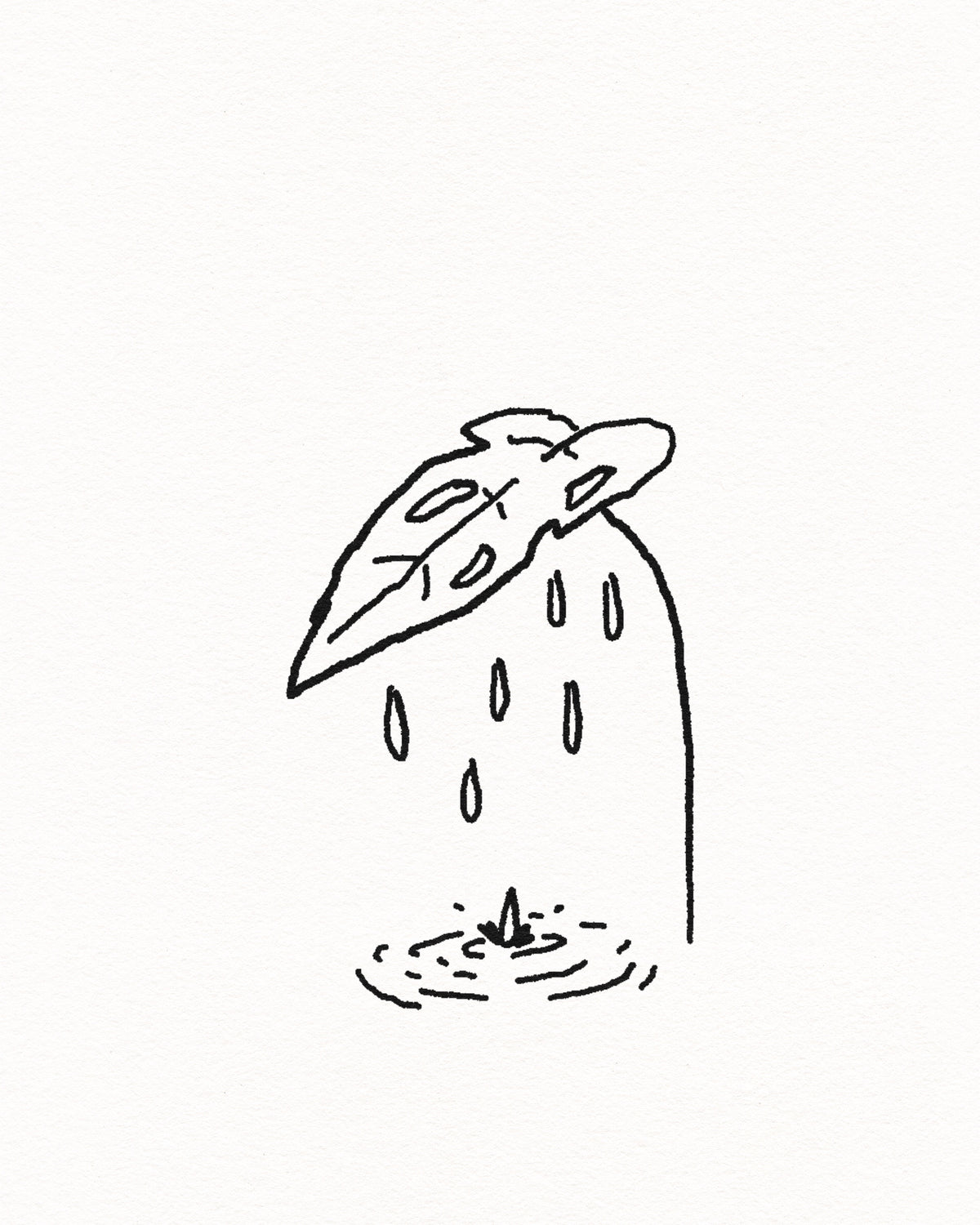 Monstera rain