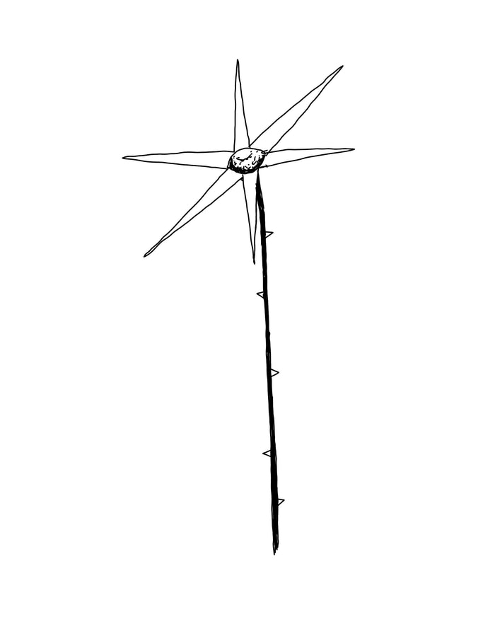 (Small) A gentle flower for you.