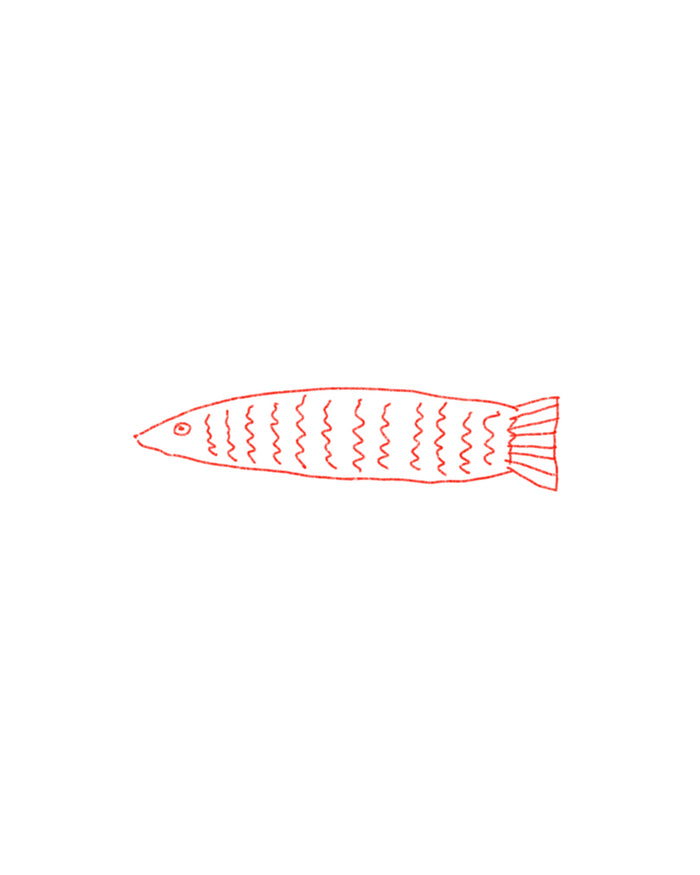 (Black or red ink) Swim up stream. Dare you.