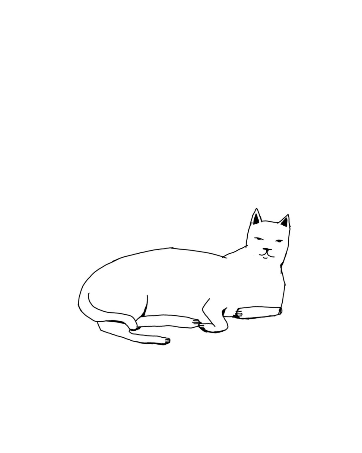 Probably good smelling cat