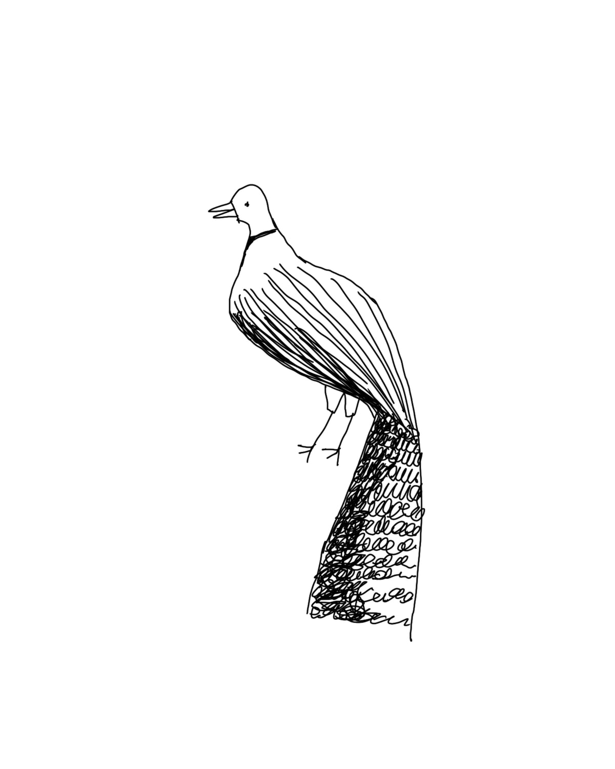 Pee cock