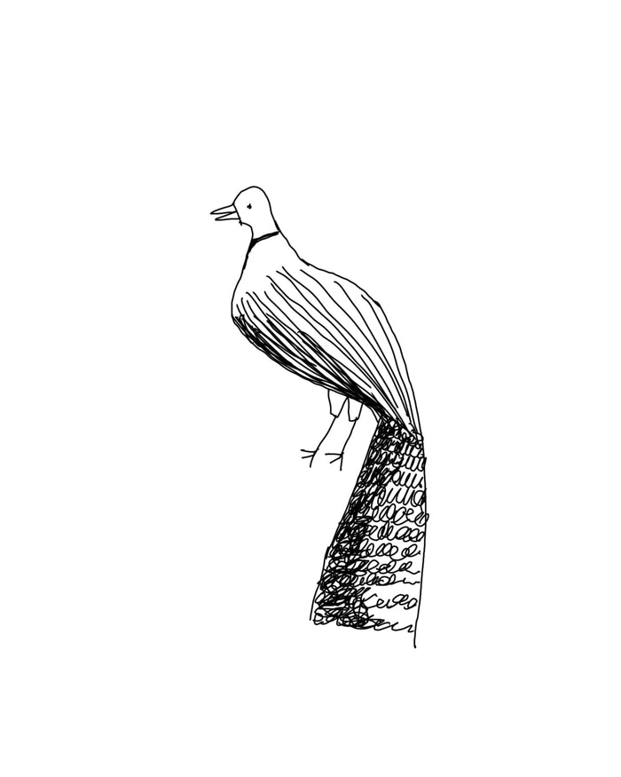 Pee cock