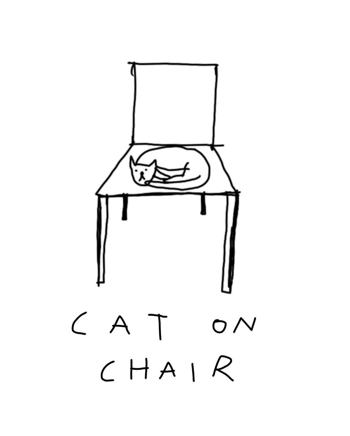 Cat on chair