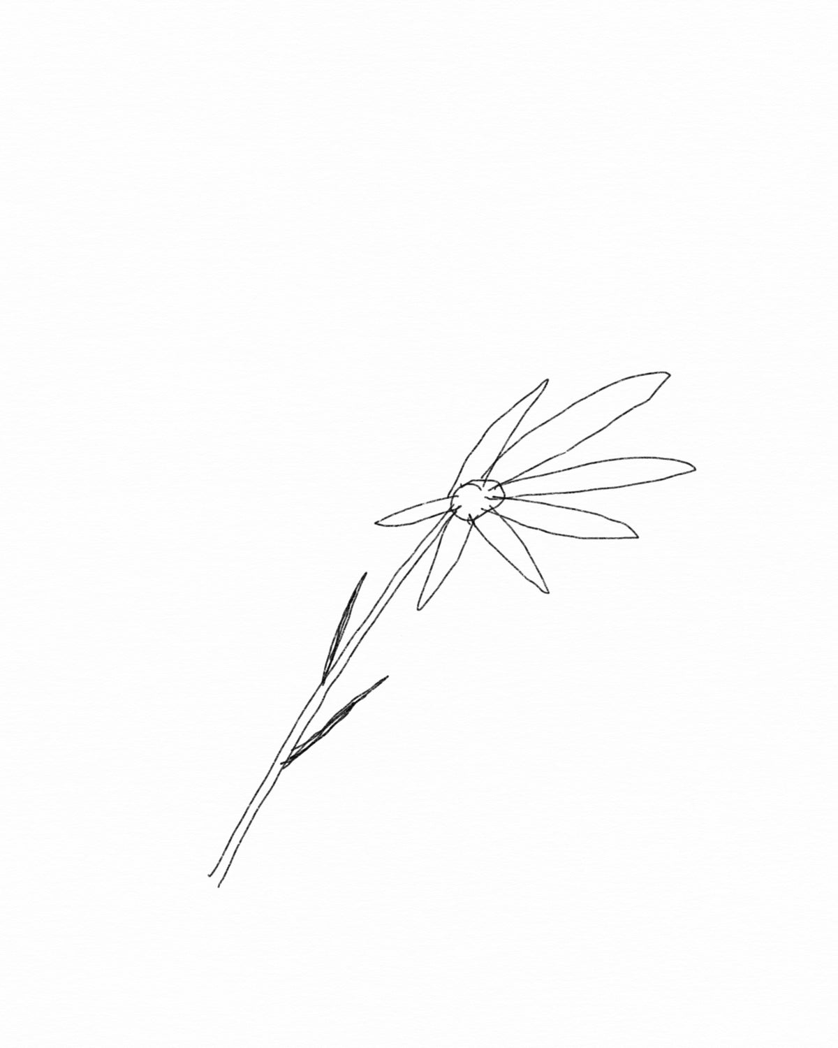 Storm flower
