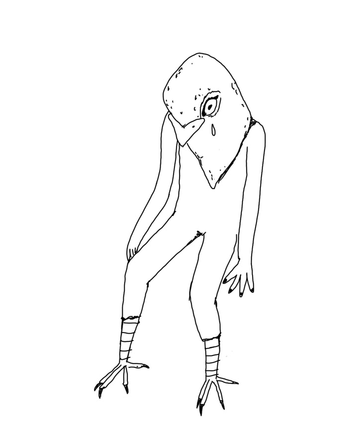 Pigeon boy