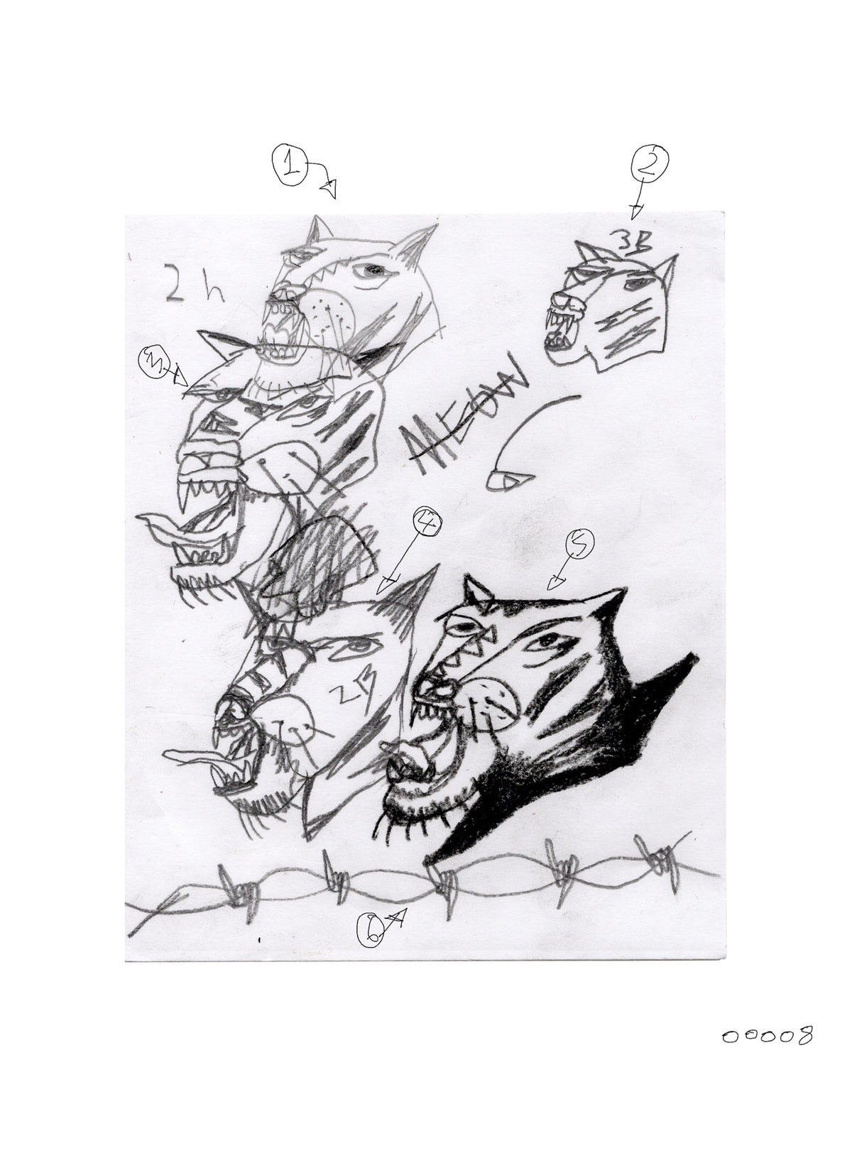 Meow - flash 00008