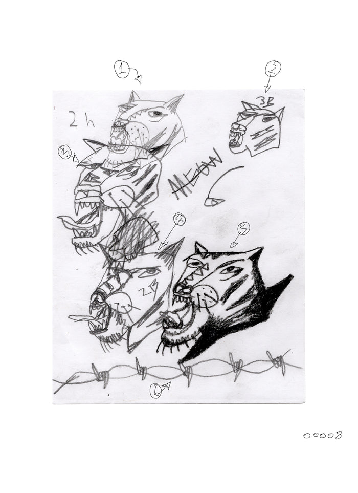 Meow - flash 00008