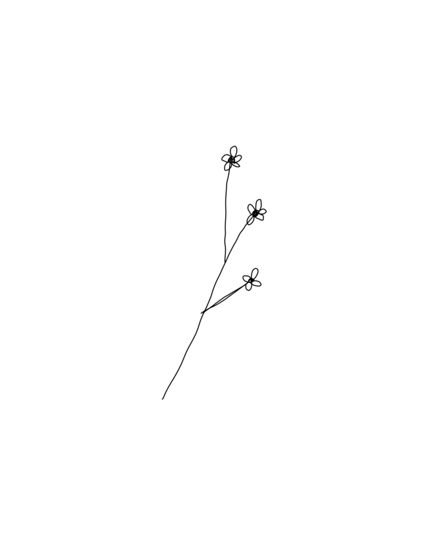 Some more flowers uh okay